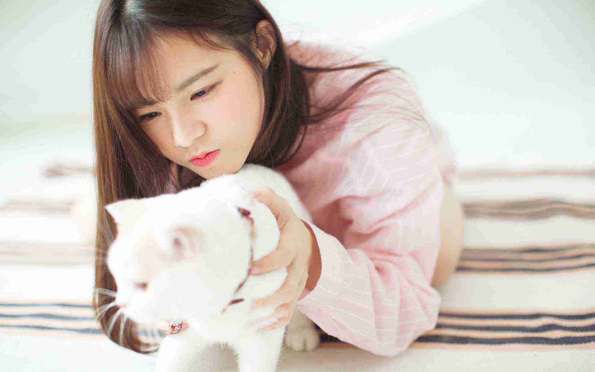 第八号当铺第三部电影剧集08-20解说最新 - 97视频